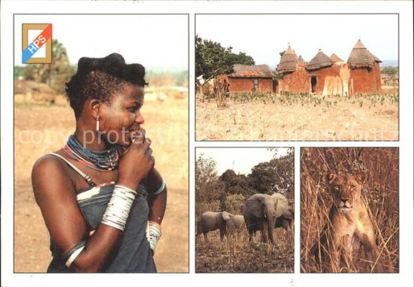 Typen Afrika Elefant Löwe Togo