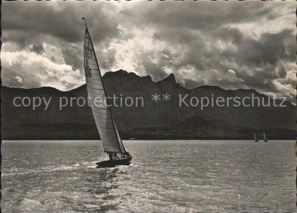 Segelboote Thunersee Stockhornkette