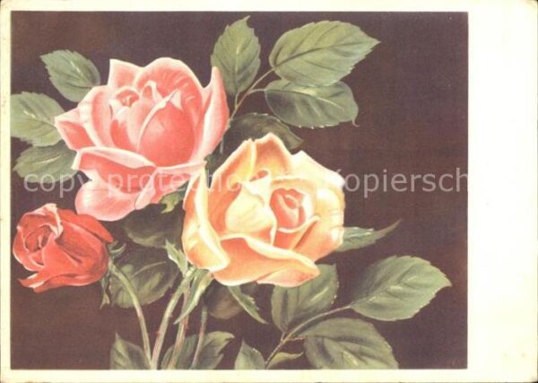 Rosen