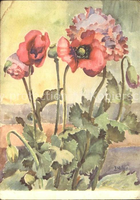 Kuenstlerkarte E. Huber Mohn