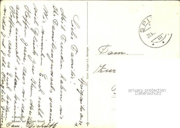 Muntwyler H. A. Blumen auf grauem Grund – Bild 2