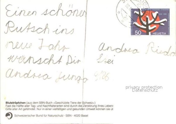 Schmetterlinge Blutströpfchen Bund für Naturschutz Bas – Bild 2