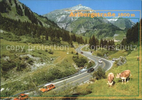 Arlberg Arlbergstrasse Kühe