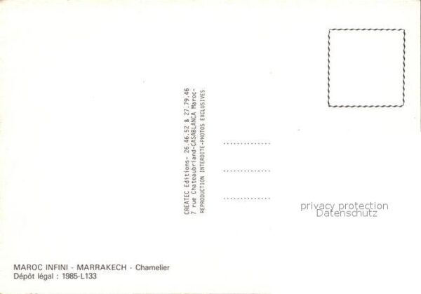 Kamel  Camel Chameau Chamelier Marrakech – Bild 2