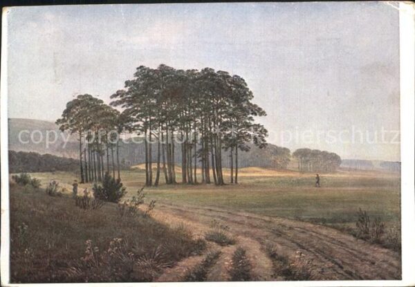 Verlag Ackermann Kuenstlerpostkarte Nr. Bäume Natur