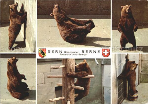 Baeren Bern Bärengraben