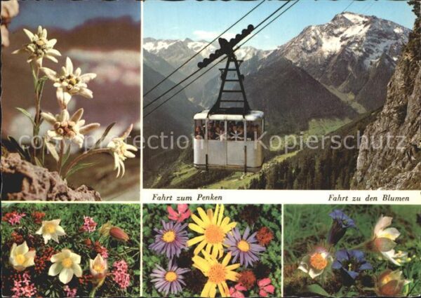 Seilbahn Penkenbahn Grünberg Zillertal Edelweiss