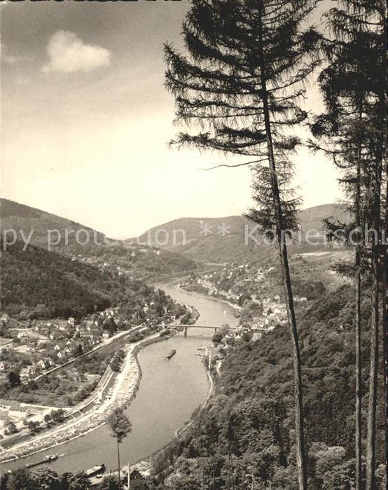 Foto Popp Nr. 263 Neckartal bei Heidelberg Schlierbac