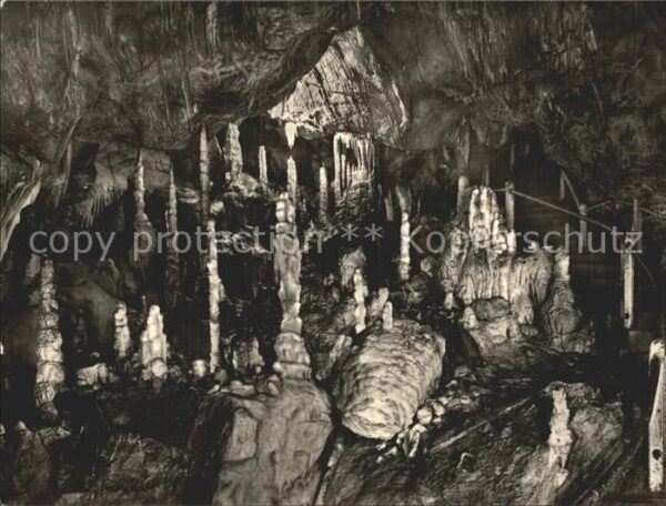 Hoehlen Caves Grottes Rübeland Harz Baumannshöhle Säulenhalle