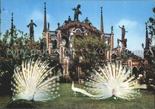 Voegel Pfau Isola Bella Lago Maggiore Giardino