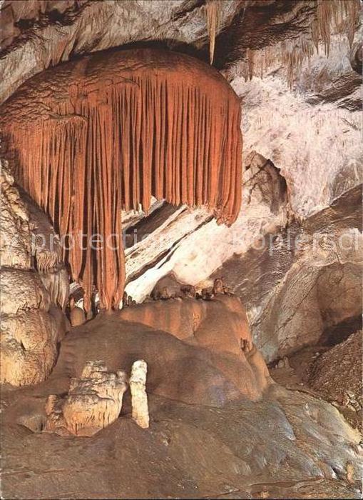 Hoehlen Caves Grottes Postojnska jama