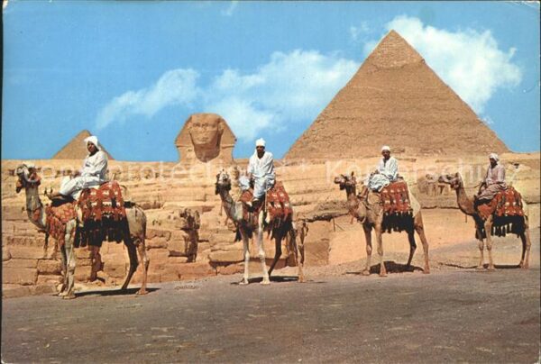 Kamel  Camel Chameau Giza Great Sphinx Khephren Pyramid