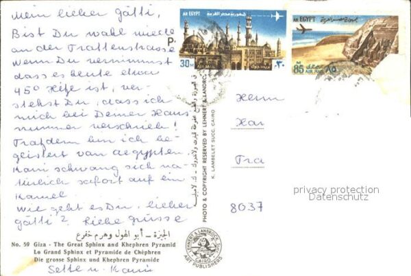 Kamel  Camel Chameau Giza Great Sphinx Khephren Pyramid – Bild 2
