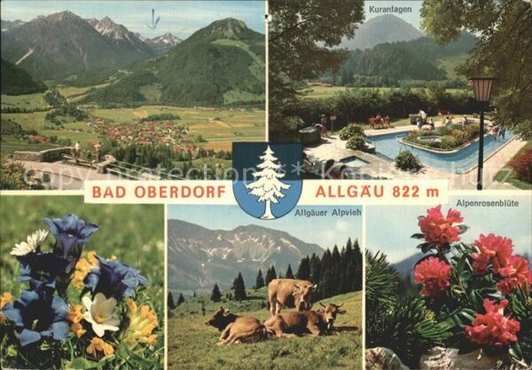 Bad Oberdorf Alpvieh Alpenrosenblüte Kuranlagen