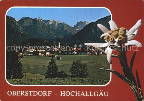 Oberstdorf Totalansicht mit Allgäuer Alpen