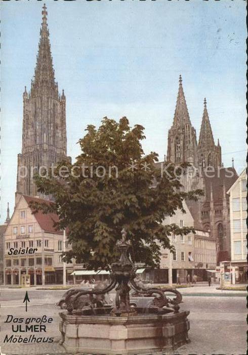 Ulm Donau Delphinbrunnen mit Münster