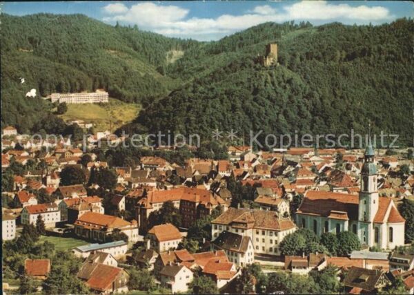 Waldkirch Breisgau Stadtblick mit Burg
