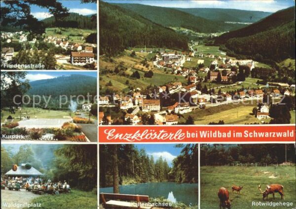 Enzkloesterle Friedensstr Kurpark Panorama Waldgrillp