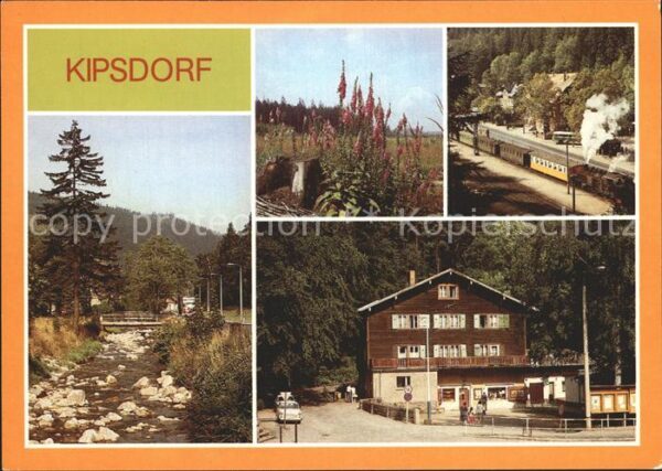 Kipsdorf An der Roten Weisseritz Digitalis Schma