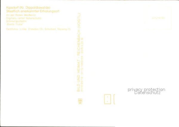 Kipsdorf An der Roten Weisseritz Digitalis Schma – Bild 2