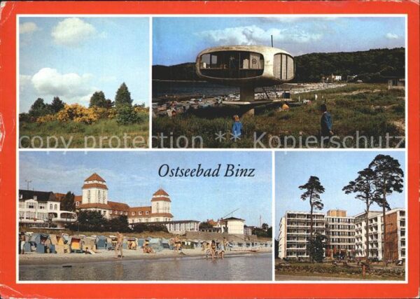 Binz Ruegen Blühender Ginster Am Rettungsturm Kurha