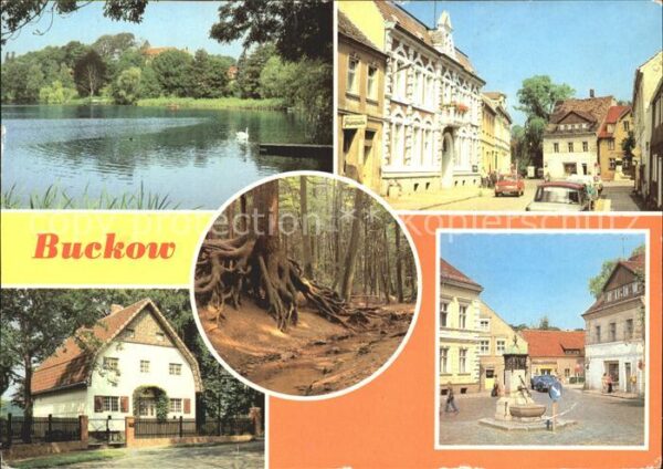 Buckow Maerkische Schweiz Buckowsee Clara Zetkin Str Wurzelfichte