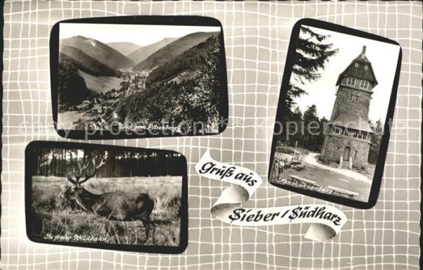 Sieber Panorama Blick vom Lilienberg Hirsch Ha