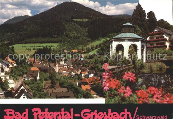 Bad Peterstal-Griesbach Teilansicht Heilbad und Ferienort Schwa