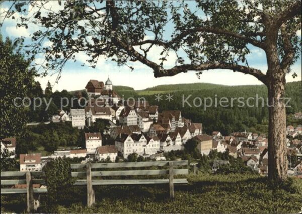 Altensteig Schwarzwald Ortsansicht mit Kirche Luftkurort Schwa