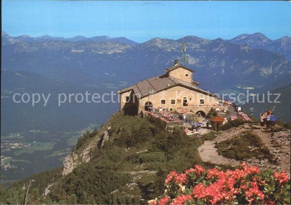 Berchtesgaden Kehlsteinhaus Eagles Nest Alpenflora Al