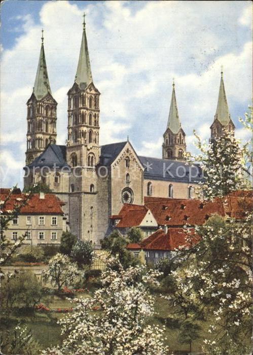 Bamberg Dom Baumblüte