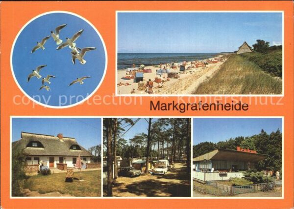 Markgrafenheide Rostock Möwen Strand Rohrdachhaus Campingplatz