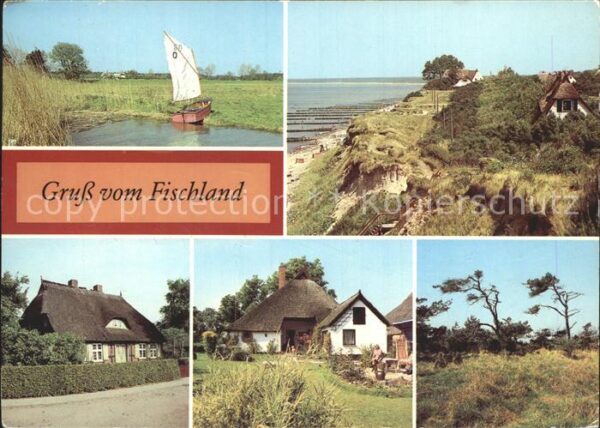 Ahrenshoop Ostseebad Bodden Hohes Ufer Windflüchter Wustrow