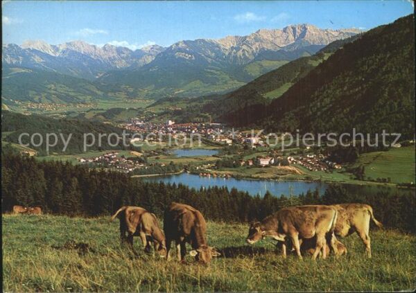 Buehl Alpsee Hintersteiner Berge Daumen