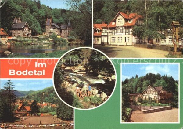 Treseburg Harz An der Halde Erholungsheim Luppbode Wal