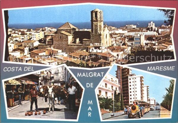 Malgrat de Mar Costa del Maresme Esel Zug