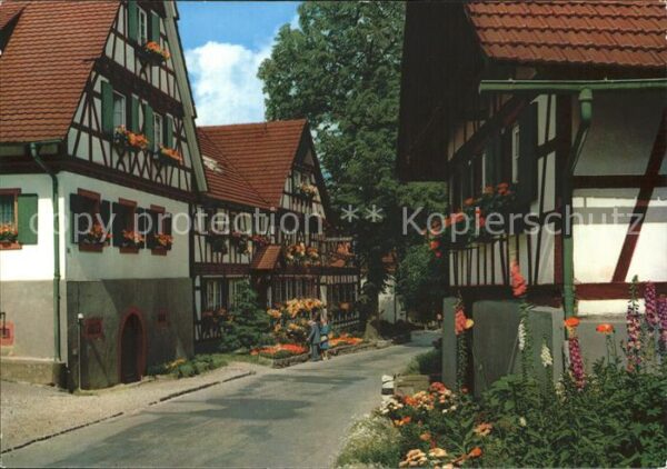 Sasbachwalden Alte Häuser