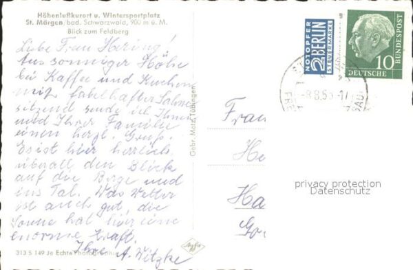 St Maergen Feldberg Kühe – Bild 2