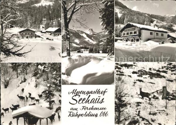 Ruhpolding Alpengasthof Seehaus Förchensee Reh