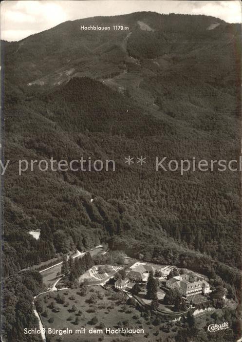 Badenweiler Fliegeraufnahme Schloss Bürgeln Hochbla