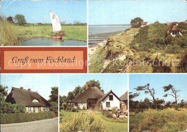 Damgarten Fischland Ahrenshoop am Bodden Hohes Uf