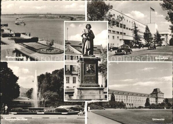 Bonn Rhein Bundeshaus Universität Rheinpromenade