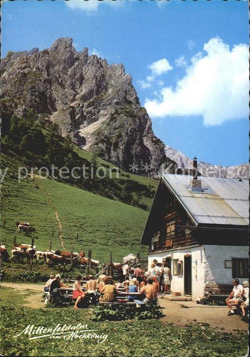 Hochkoenig Mittenfeld Alm mit Hochkönig