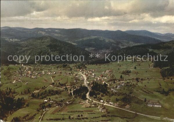 Haeusern Schwarzwald Fliegeraufnahme