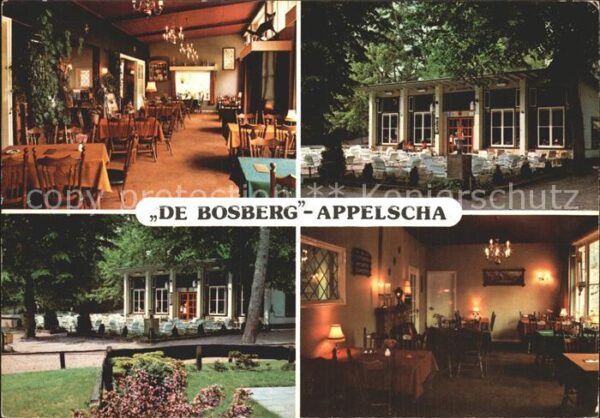 Appelscha Cafe Petit Restaurant De Bosberg