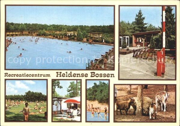 Helden Netherlands Recreatiecentrum Heldense Bossen Schwim