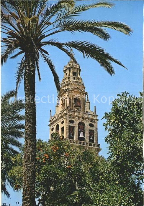 Cordoba Andalucia Clocher de la Cathedrale
