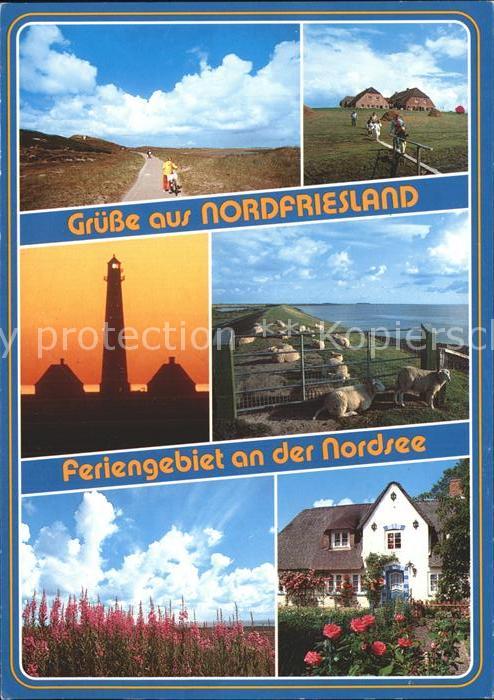 Nordfriesland Feriengebiet Düne Leuchtturm Nordsee
