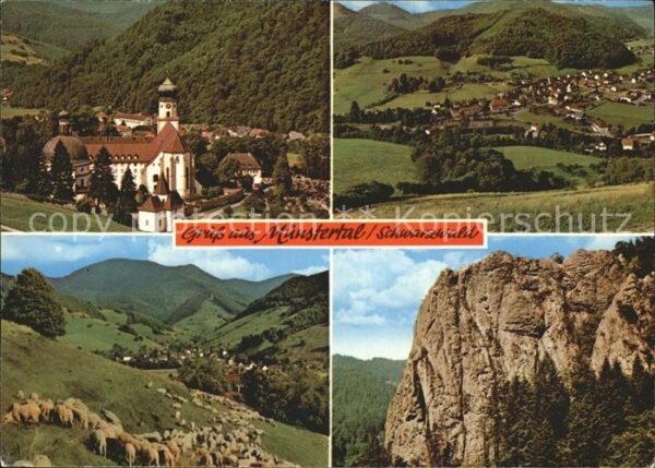 Muenstertal Schwarzwald Schafe Kirche Panorama