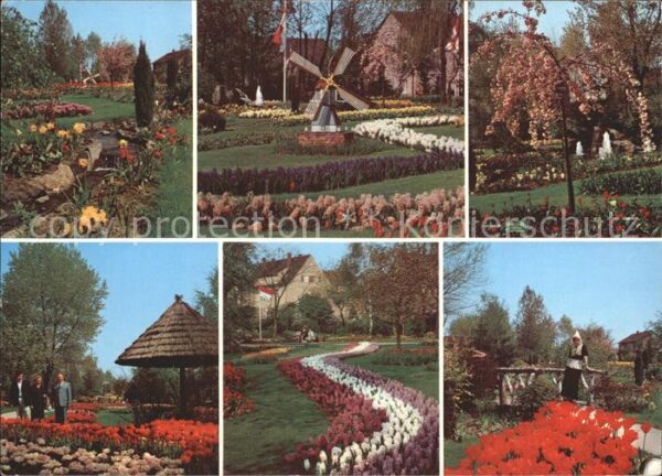 Viernheim Tulpenschau Tivoli Park